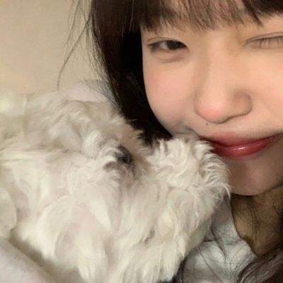 加拿大28下载手机版